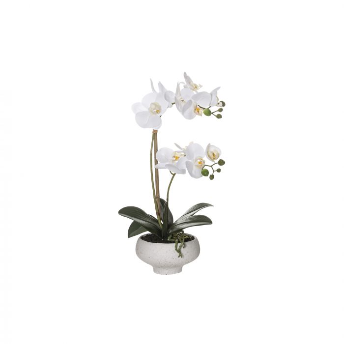 Butterfly Orchid Stone Bowl